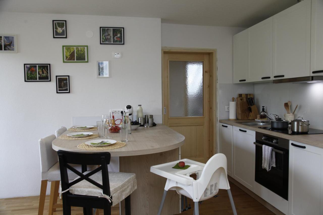 Family Apartment On Repecnik Farm In Gorje, Bled Zgornje Gorje Zewnętrze zdjęcie